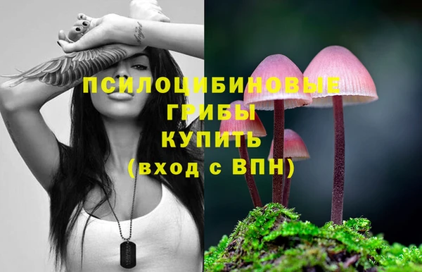 MDMA Premium VHQ Медвежьегорск