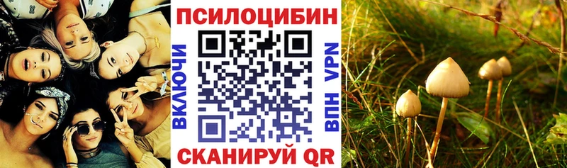 где можно купить наркотик  Полысаево  Псилоцибиновые грибы мицелий 