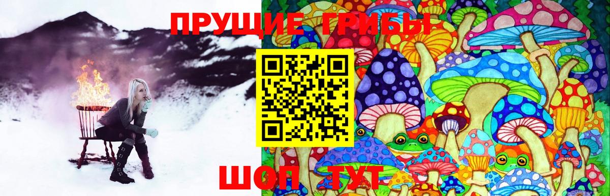 Галлюциногенные грибы Magic Shrooms  Вход с VPN  Галлюциногенные грибы MAGIC MUSHROOMS  Полысаево 
