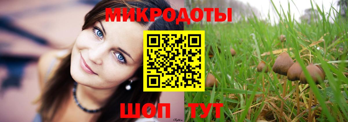Псилоцибиновые грибы GOLDEN TEACHER Полысаево